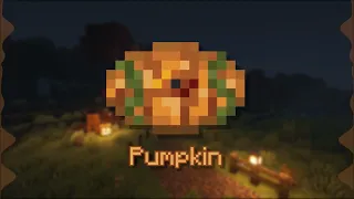 Pumpkin - Fan Made Minecraft Music Disc