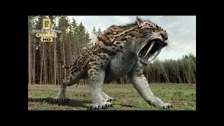 Best Documentary   Wildlife Youtube 2019 Nat Geo Wild Nature Animal Discovery Channel Animals 2019