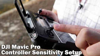 Best Settings (sensitivity setup) - DJI Mavic Pro