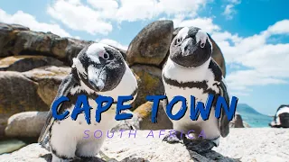 TOP 5 FUN THINGS TO DO IN CAPE TOWN (SOUTH AFRICA)