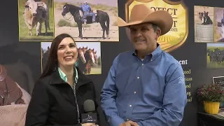 2018 AQHA World Show – Dan Huss and Ms Dreamy – Sr Level 3 Bridle less