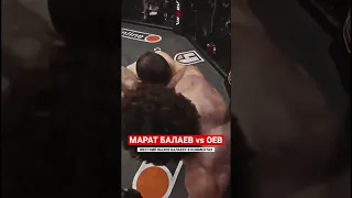 БОЙ! МАРАТ БАЛАЕВ vs АМИРХАН ОЕВ #балаев #оев #попмма