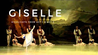 'Giselle', Mariinsky Ballet - Tereshkina, Parish (2014)