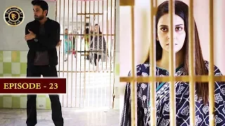 Cheekh Episode 23 | Top Pakistani Drama