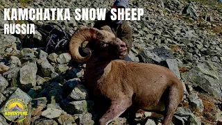 Kamchatka Bighorn Snow Sheep Hunt