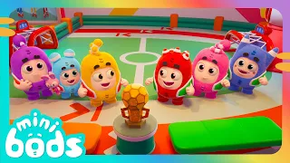 Football Fallout | Minibods | Preschool Cartoons for Toddlers