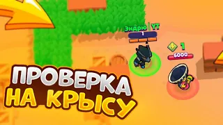 ПРОВЕРКА НА КРЫСУ В BRAWL STARS | УБЬЁТ МЕНЯ С 1 ХП!?