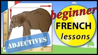 French adjectives | Beginner French Lessons for Children