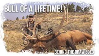 Bull Elk of a LIFETIME... WITH A BOW!!