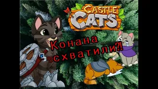 ПОЛНЫЙ КВЕСТ ЮБИЛЕЙНОГО СОБЫТИЯ | Castle Cats