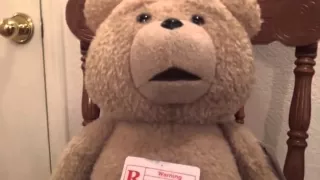 Official Ted plush rated R version