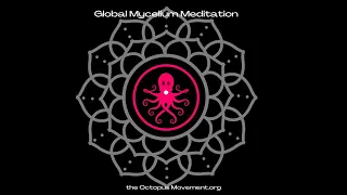 Global Mycelium Meditation