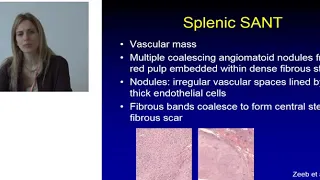 Imaging techniques and diseases of spleen