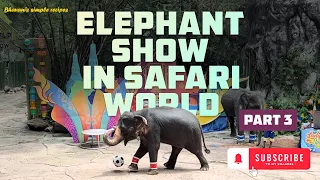 The Best Elephant Show In Safari World Bangkok - 2023