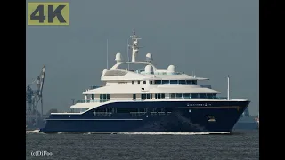 CARINTHIA VII - Shipspotting Germany 🇩🇪 IMO 8994001 - Elbe near Müggendorf/Glameyer Stack - 4K VIDEO