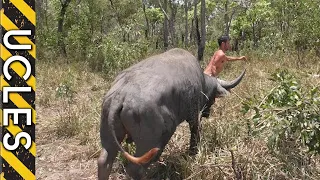 Water Buffalo (CAUGHT BAREHANDED) with Andrew Ucles & Adam Greentree