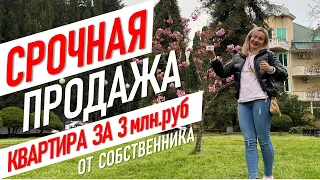 💥 СРОЧНАЯ ПРОДАЖА! Квартира за 3 млн.руб. в Сочи! #жививсочи Недвижимость, вторичка, Светлана.