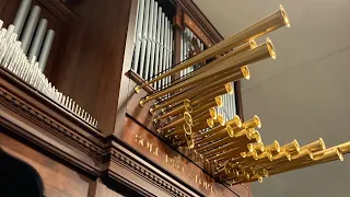 Fanfare-Toccata on “Christ the Lord is Risen Today” played by Richard Elliot