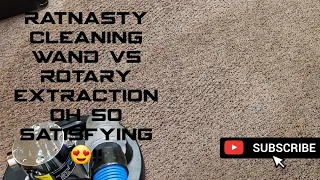 Satisfying cleaning on a Rat nasty carpet a satisfying wand versus rotary extraction.