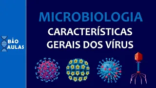 Características Gerais dos Vírus: Envelope, Capsídeo e Material Genético (Microbiologia) - Bio Aulas