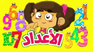 الأعداد طيور بيبي Toyor Baby Aadad