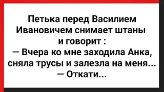 Петька Показал Василию Ивановичу Свое Хозяйство! Сборник Свежих Анекдотов! Юмор!