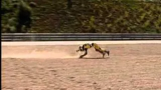 Jerez 2005 125cc Race Giuseppetti