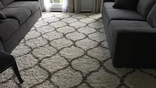 Safavieh Hudson Shag Collection Rug Review   Super Comfy