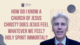 How do I know a church of Jesus Christ? Does Jesus feel whatever we feel? Holy Spirit immortal?| BHD