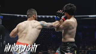 Highlight: Most Vicious Knockouts