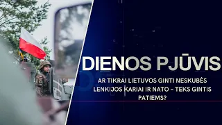 Ar tikrai Lietuvos ginti neskubės Lenkijos kariai ir NATO – teks gintis patiems? | DIENOS PJŪVIS