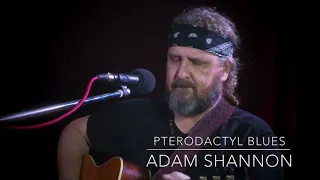 Pterodactyl blues - Adam Shannon Original.