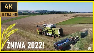 4K ŻNIWA 2022!!! 3X C360 URSUS, CLAAS DOMINATOR 86!