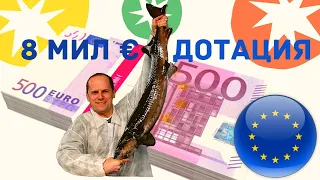 8 мил € дотация от Еврофондов на Аквакультуру в Латвии. На строительство рыбоводных хозяйств УЗВ.