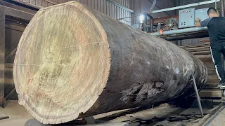 Woodworking Plans_Giant Wood Trees Are Brought To The World's Largest Wood Mill