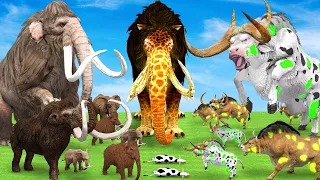 10 Mammoth Elephant vs 10 Zombie Bull Cow Buffalo vs Giant Lion Attack Cow Buffalo Saved By mammoth