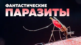 Фантастические паразиты / Биолог Юрий Матвеев