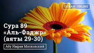 Сура 89 «Аль-Фаджр "Заря"» 29 - 30 аяты | Абу Имран | Таджвид | Коран |