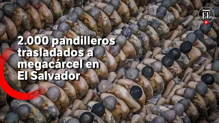 Pandilleros de El Salvador fueron trasladados a la megacárcel “más grande de América”| El Espectador