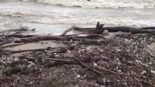 Loch Ness monster in Lake Erie? VIDEO