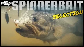 Choosing the Best Spinnerbait for the Situation