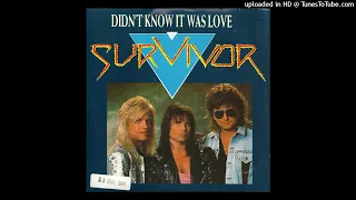 Survivor - Didn't Know It Was Love (AF Remix)