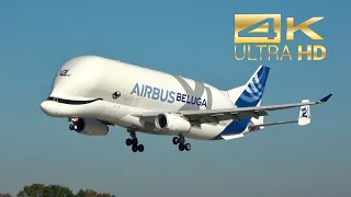 (4K) Airbus A330-743L Beluga XL F-GXLH arrival Manching Airbase ETSI IGS XL2