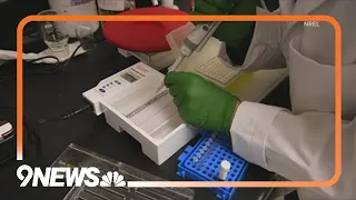 Colorado researchers working on biodegradable polyester alternative