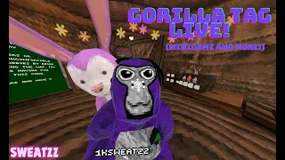 GORILLA TAG LIVE (MINIGAMES AND MORE) FT. FAZEDRAGON #gorilla tag #gtag #monkey #jmanncurly