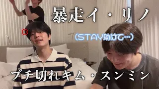 ［straykids/スキズ/日本語字幕］スキズの配信は今日もカオス