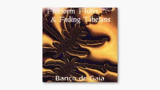 Banco De Gaia - Freeform Flutes & Fading Tibetans (Full Album) [1992]