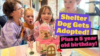 Shelter Dog Gets Adopted and 5 Year Old Birthday Party