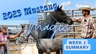 2023 Mustang Magic Trainer's Challenge: Week 1