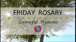 Friday Rosary • Sorrowful Mysteries of the Rosary 💜 Yellow Flowering Trees